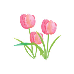 Tulip Design Very Cool