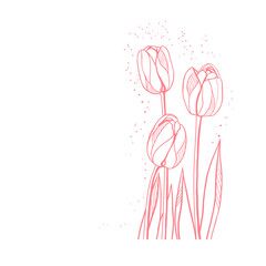 Tulip Design Very Cool