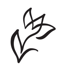 Tulip Design Very Cool