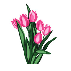 Tulip Design Very Cool