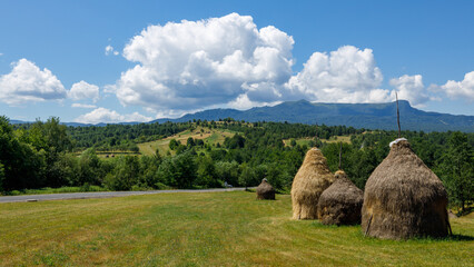 Hay harvest in the Maramures Landscape of Romania