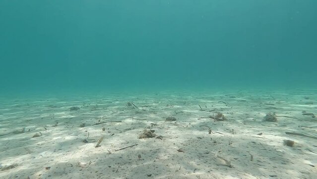 Underwater loop video of beautiful exotic turquoise sandy sea bed as seen in tropical paradise destination island