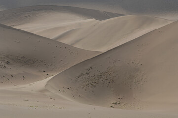 Chinese desert scenes