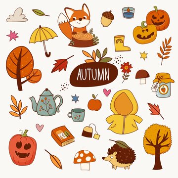 Set of autumn elements. Vector illustration pumpkin, umbrella, tea, jam, tree, teapot, mushroom, rubber boots, apple, autumn leaves, animals and more.