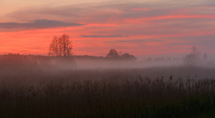 Morning mist on the river bank. Purple Haze. Fog at dawn