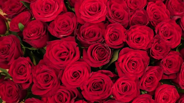 Beautiful red roses bouquet background, top view. Blooming rose flowers, close-up. Wedding backdrop, Valentine's Day concept