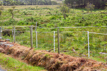 Fototapeta na wymiar A grassy area of the field is fenced with electric shepherd wire