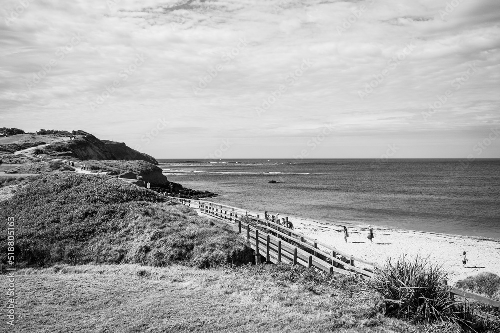 Wall mural Beach and fence in Collaroy