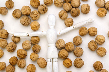 The human brain is shaped like a walnut kernel. Wooden mannequin with walnuts white background