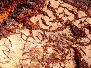 Texture de pain de sègle - croute cuite d'un pain français avec farine blanche
