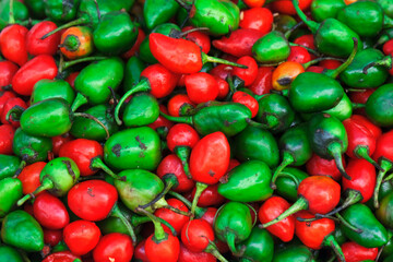 Red and green hot peppers background, selective focus.