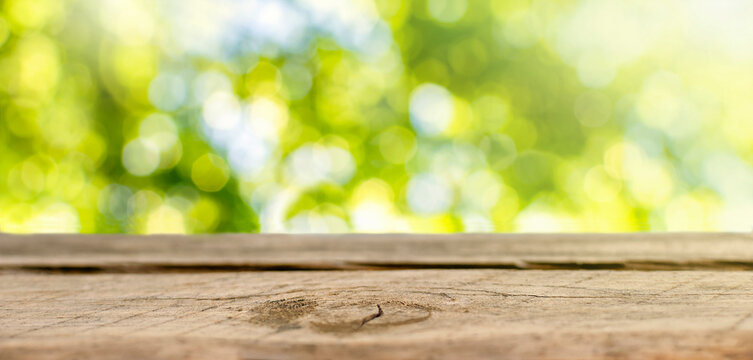 Wood table top on blurred abstract green background of lush tree leaves in a summer garden or park and sunlight. Empty stand counter for product display or visual layout design. Banner.