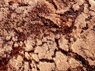 Texture de pain de sègle - croute cuite d'un pain français avec farine blanche