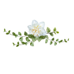 White flower and green leaves isolated on white background. Wedding design element. Festive flower composition Invitation postcard design.
