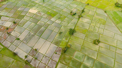 Top view of rice fields and agricultural land in the countryside. Sri Lanka.