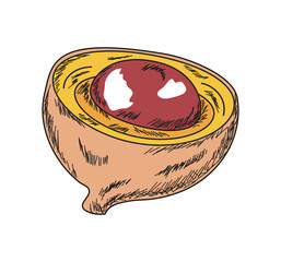 lucuma superfood icon
