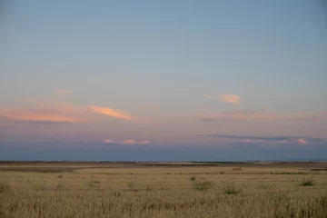 Fototapeten Summer landscape in the countryside © Adrian Zarzuelo