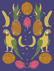 Vector illustration with ara and fruit. Colorful design with parrots, pineapples, dragon fruits, bananas and coconuts.