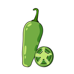 Jalapeno pepper. Spicy green chili. Mexican food. Isolated cartoon illustration