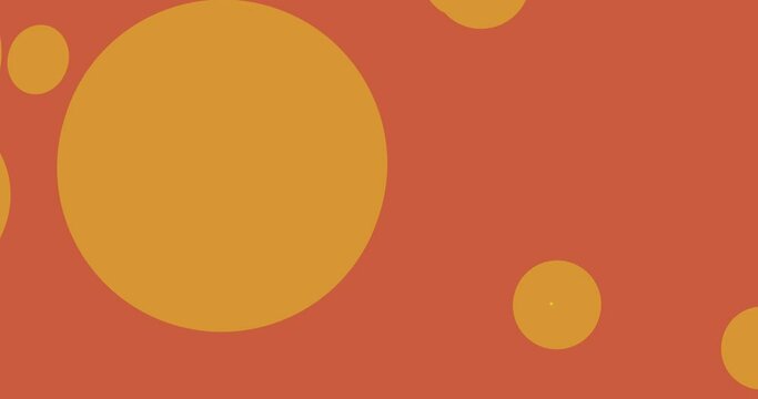 circle and polka dot transition animation