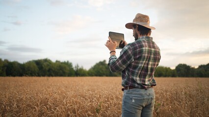Farmer working with tablet computer on wheat field