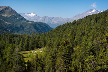 Fototapeta na wymiar Swiss Mountains