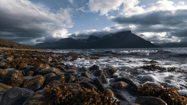 Fjord in Norwegen 2