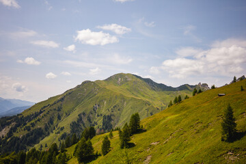 Fototapeta premium Österreichische Alpen 