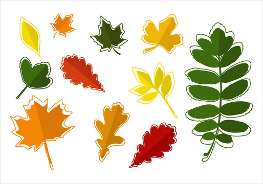 Set of colorful autumn leaves with frame.  Isolated on a white background. Simple cartoon flat style. Vector illustration.