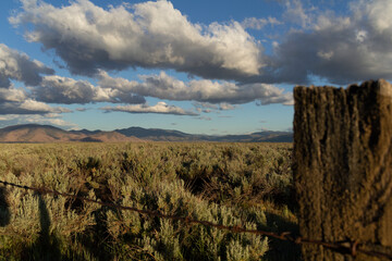 Sagebrush Rangeland or Pasture with Fencepost and Barbed Wire in Northern California, USA