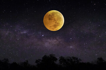 Fototapeta na wymiar Full moon rising over the sky