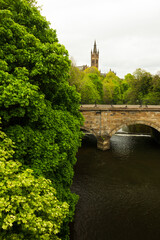 Glasgow University campus gardens	
