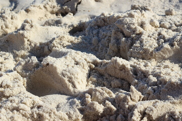 sand background