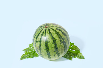 Watermelon on blue pastel background