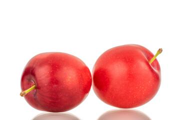 Two organic juicy cherry plums, close-up, isolated on a white background.