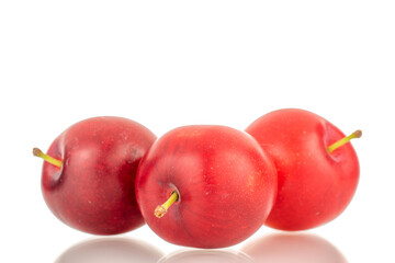 Three organic juicy cherry plums, close-up, isolated on a white background.