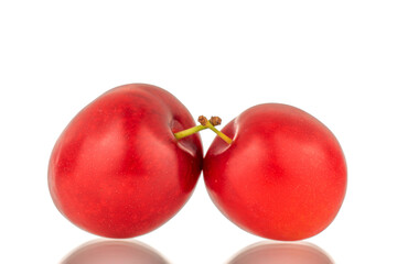 Two organic juicy cherry plums, close-up, isolated on a white background.