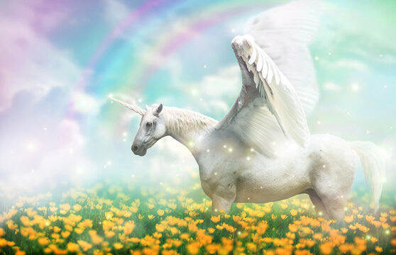 White pegasus unicorn horse in a magical field paradise