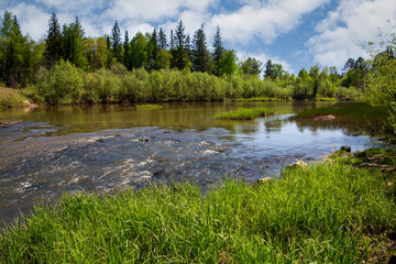 Summer landscape with a river, forest and green banks under a blue sky with white clouds.