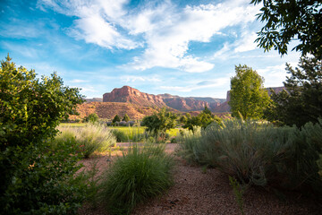 Obraz premium canyon with green field