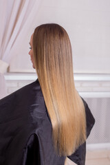 Female back with long straight natural blonde hair in hairdressing salon