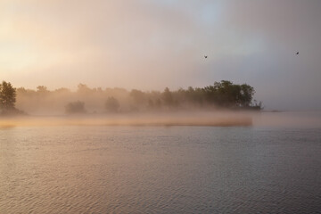 Landscape with river and fog. River and trees on a foggy summer morning.
