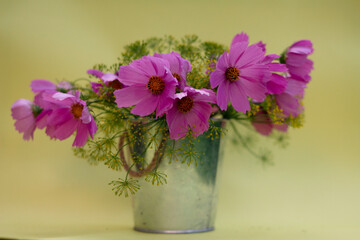 flowers in a vase