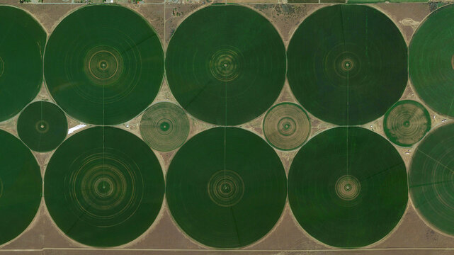Circular fields, Center pivot irrigation system and food safety, looking down aerial view from above, bird’s eye view circular fields, cultivated fields and colorful fields