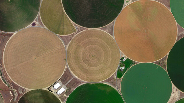 Circular fields, Center pivot irrigation system and food safety, looking down aerial view from above, bird’s eye view circular fields, cultivated fields and colorful fields