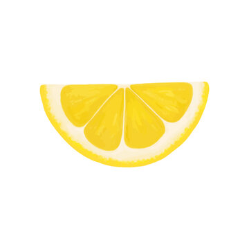 Lemon slice. Vector realistic illustration isolated on white background. Lemon eps icon clip art.