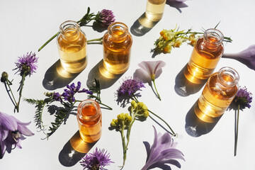 Selection of essential oils, with herbs and flowers on white background. Top view