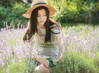 Young woman cutting bunches of lavender