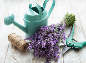 Seasonal pruning of lavender.