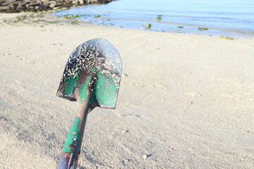 detection shovel at the beach